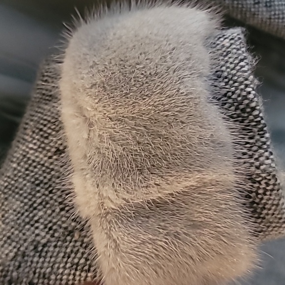 Christian Dior Tweed Wool Jacket, Skirt & Flare pants - Picture 8 of 16